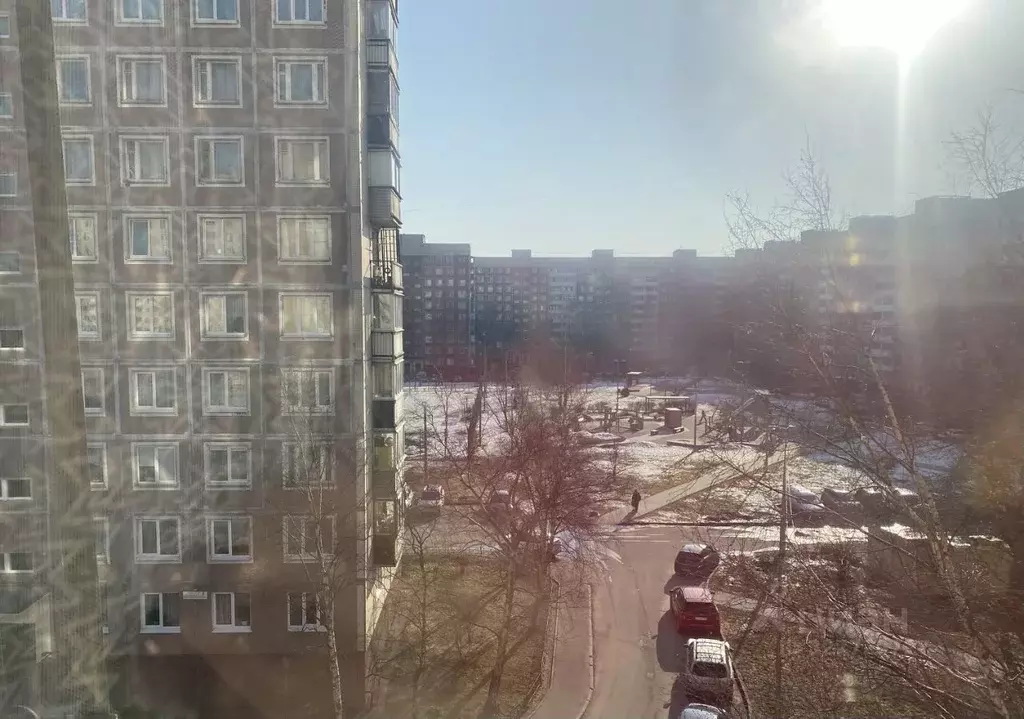 3-к кв. Санкт-Петербург ул. Чудновского, 8К1 (58.6 м) - Фото 2