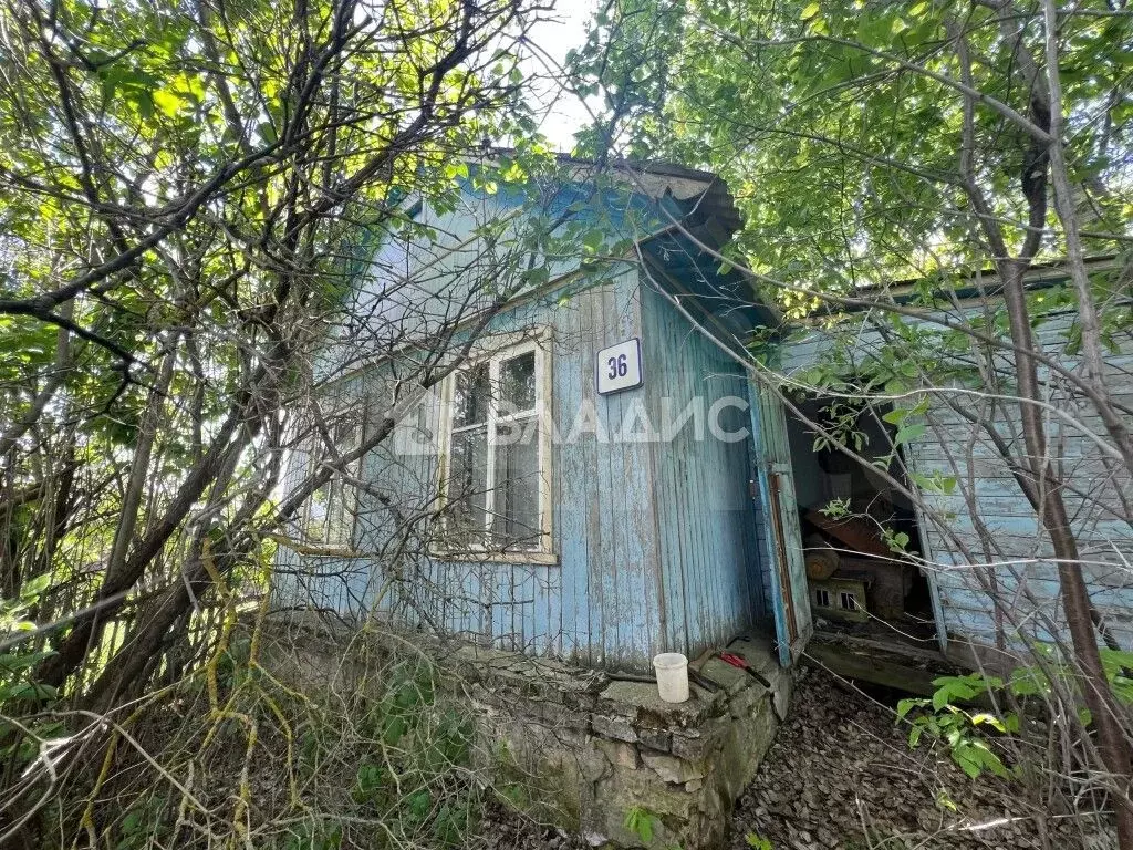Дом 31 м на участке 46 сот. - Фото 0