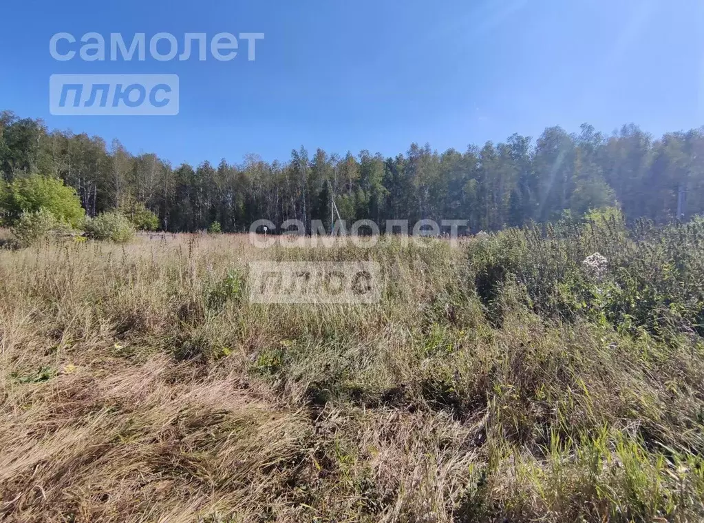 Участок в Челябинская область, Сосновский район, д. Большое Таскино  ... - Фото 1