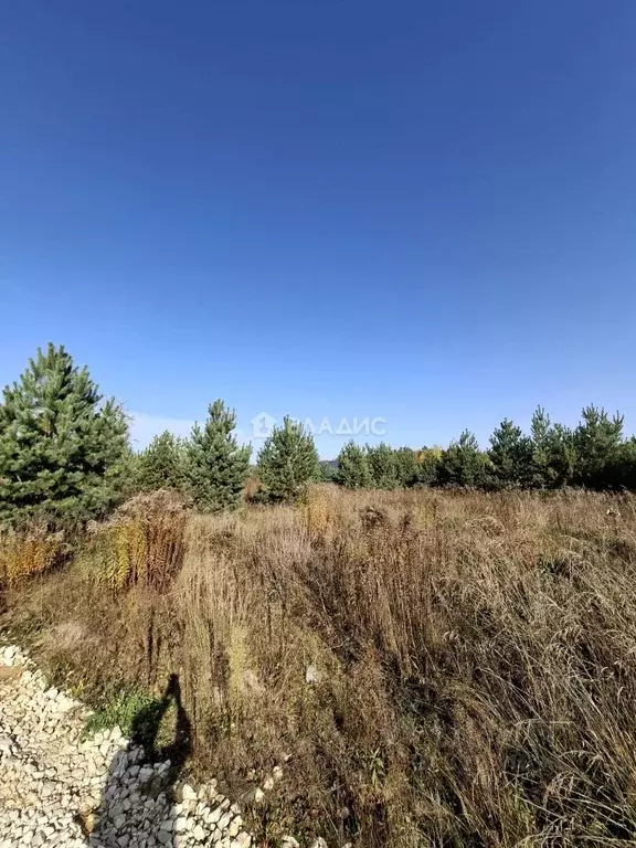 Участок в Владимирская область, Владимир д. Уварово,  (6.25 сот.) - Фото 2