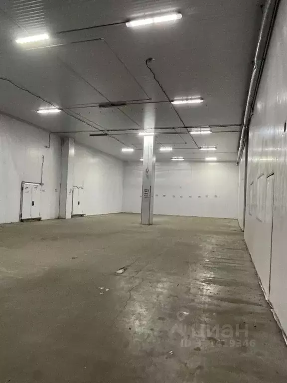 Склад в Москва Рябиновая ул., 45С2 (704 м) - Фото 1