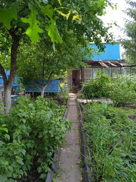 Дом в Омская область, Омск СОСН Дружба тер.,  (30 м) - Фото 0
