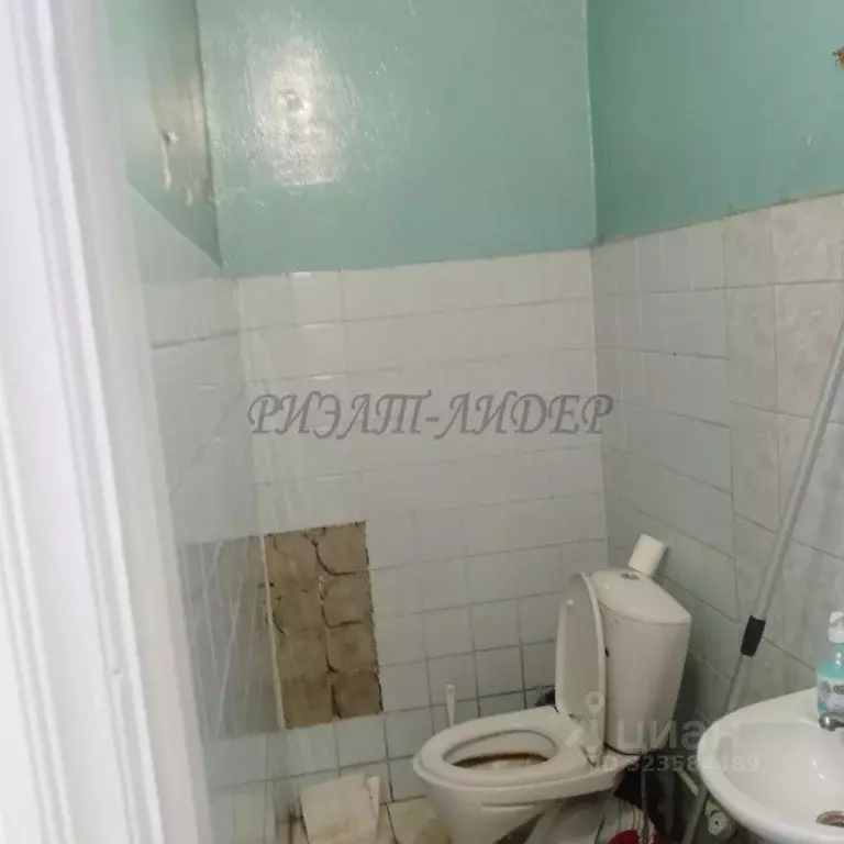 Помещение свободного назначения в Алтай, Горно-Алтайск ... - Фото 2