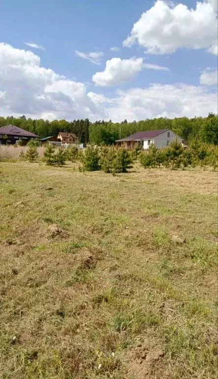 Участок в Московская область, Коломна городской округ, д. Зиновьево ... - Фото 1