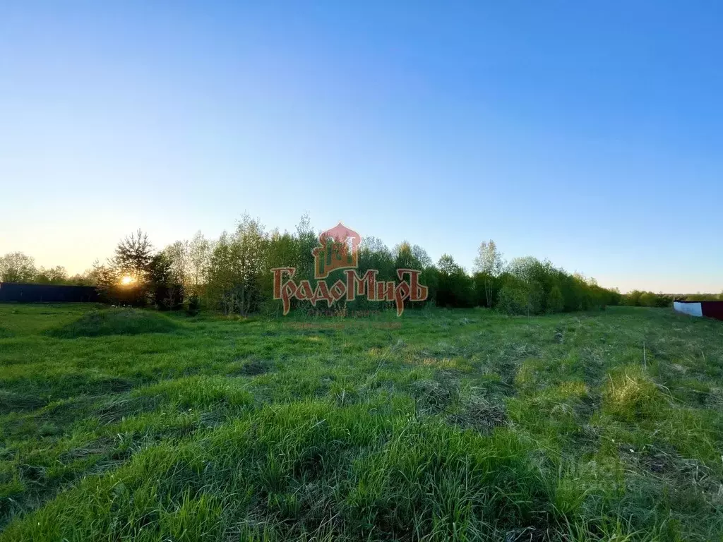 Участок в Владимирская область, Александровский район, Каринское ... - Фото 0