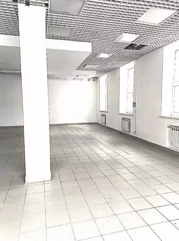 Офис в Нижегородская область, Нижний Новгород Полтавская ул., 30 (204 ... - Фото 1