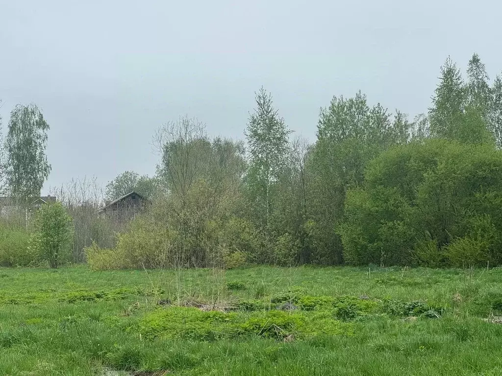 Участок в Московская область, Богородский городской округ, д. Ельня  ... - Фото 1