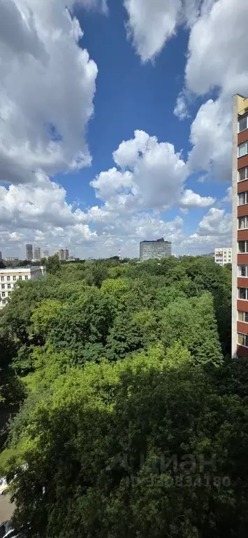 1-к кв. Москва ул. Маевок, 1к2 (40.0 м) - Фото 1