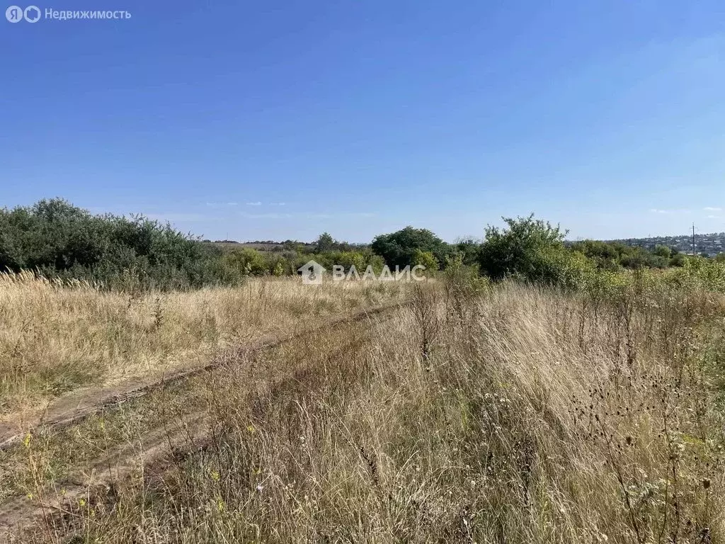 Участок в Белгород, СТ Серп и молот, 390 (4.85 м) - Фото 2