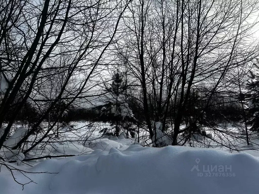Участок в Московская область, Ступино городской округ, д. Васьково  ... - Фото 1