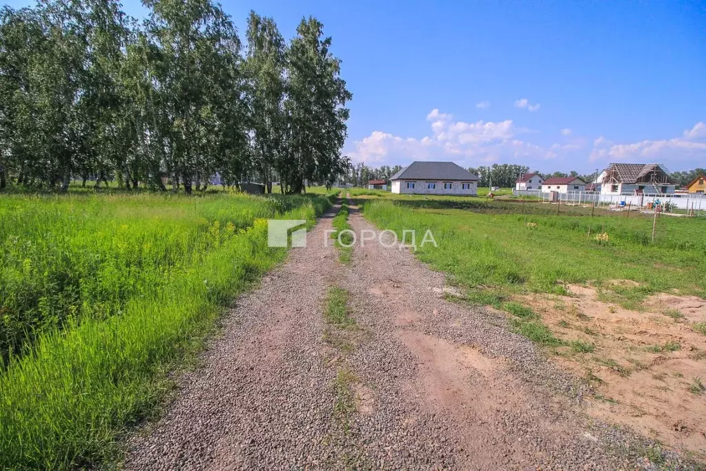 Участок в Алтайский край, Павловский район, Молодежный ДНТ  (10.0 ... - Фото 1