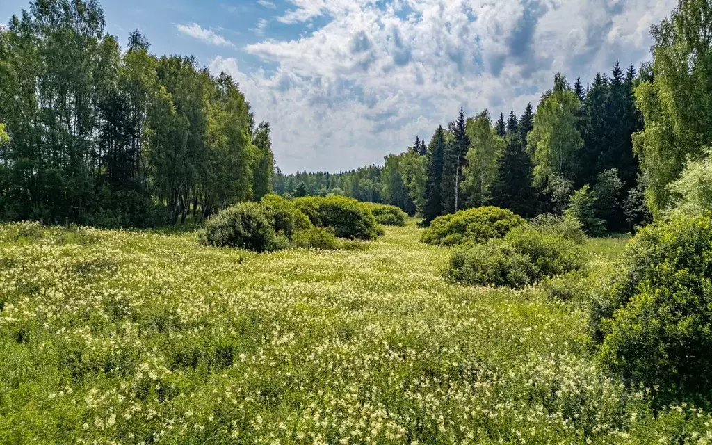 Участок в Калужская область, Боровский муниципальный округ, д. ... - Фото 2
