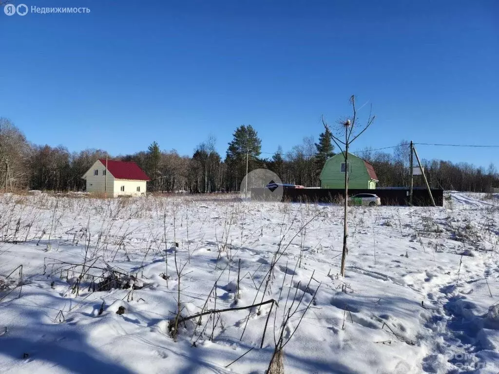 Участок в Выборгский район, Приморское городское поселение, посёлок ... - Фото 1