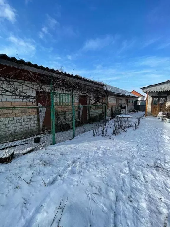 Дом в Курская область, Октябрьский район, Прямицыно муниципальное ... - Фото 1