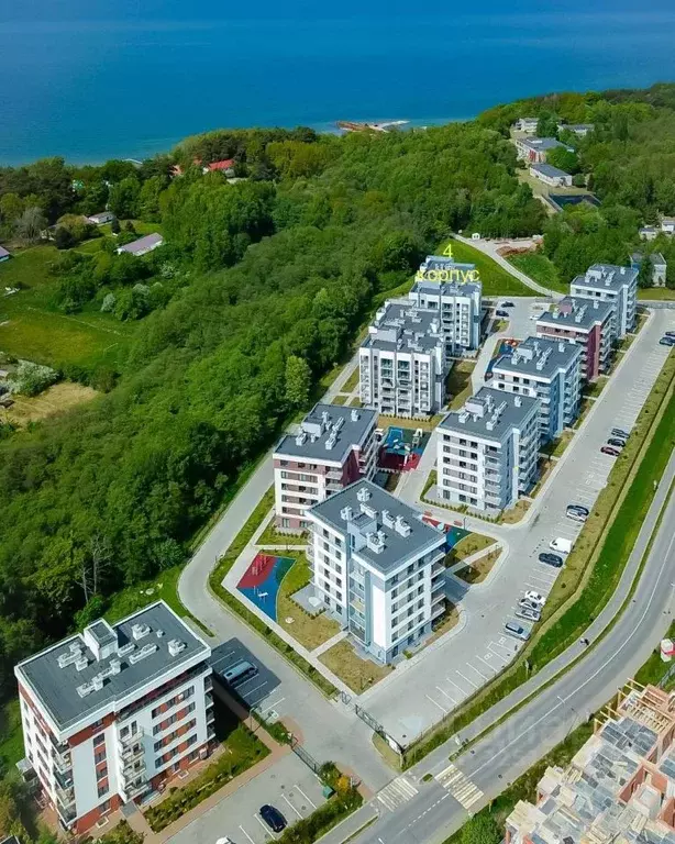 2-к кв. Калининградская область, Светлогорск Ольховая ул., 19к7 (72.0 ... - Фото 2