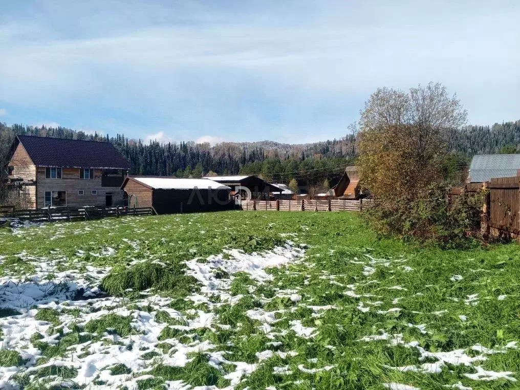 Участок в Алтай, Турочакский район, с. Усть-Пыжа Береговая ул. (10.0 ... - Фото 2