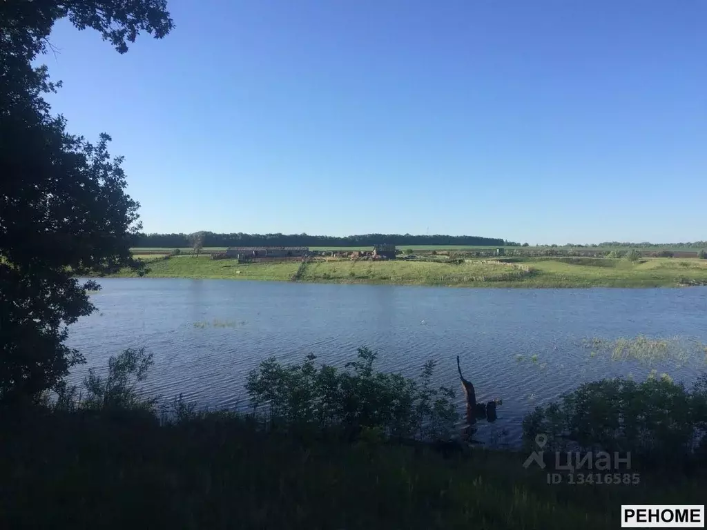 Участок в Саратовская область, Аркадакский район, с. Подгорное ... - Фото 0