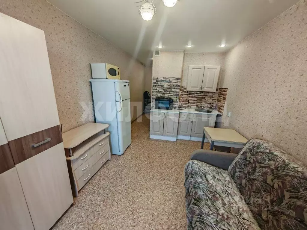 Студия Новосибирская область, Новосибирск ул. Виктора Уса, 15 (20.0 м) - Фото 1