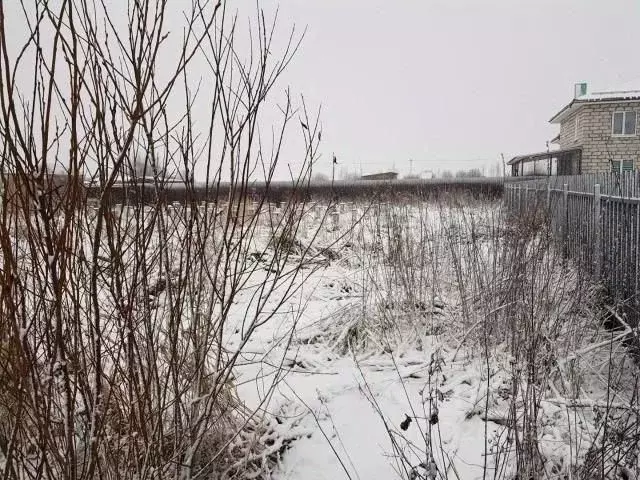 Участок в Ленинградская область, Всеволожский район, Колтушское ... - Фото 1