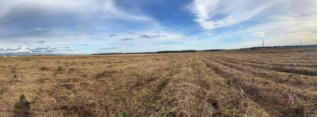 Участок в Пермский край, Пермский муниципальный округ, с. Курашим  ... - Фото 1