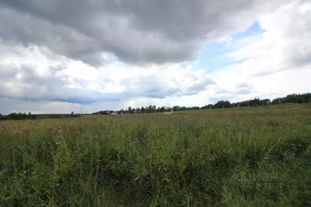 Участок в Вологодская область, Череповецкий район, д. Некрасово  (15.0 ... - Фото 1