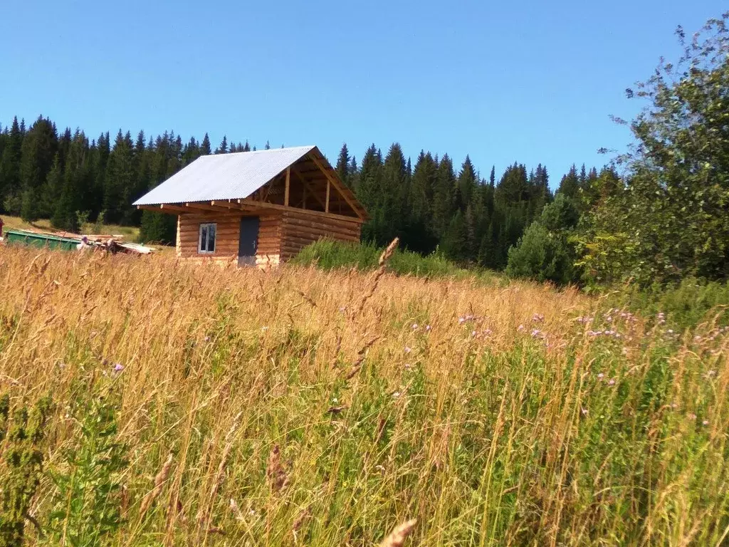 Дом в Свердловская область, Нижние Серги ул. Родниковая, 33А (24 м) - Фото 0