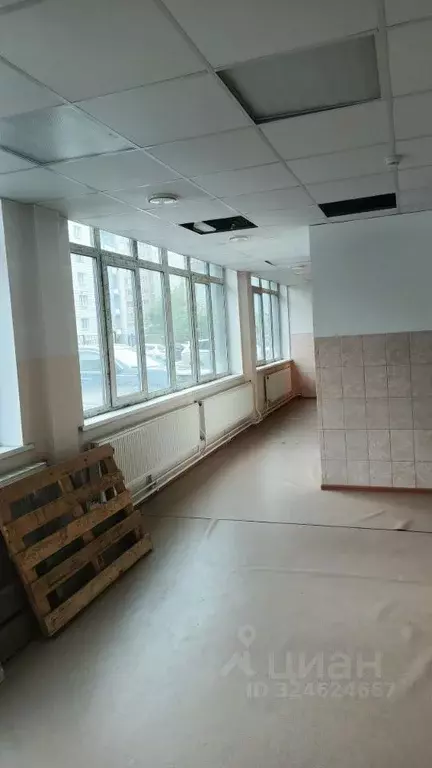 Помещение свободного назначения в Новосибирская область, Новосибирск ... - Фото 2