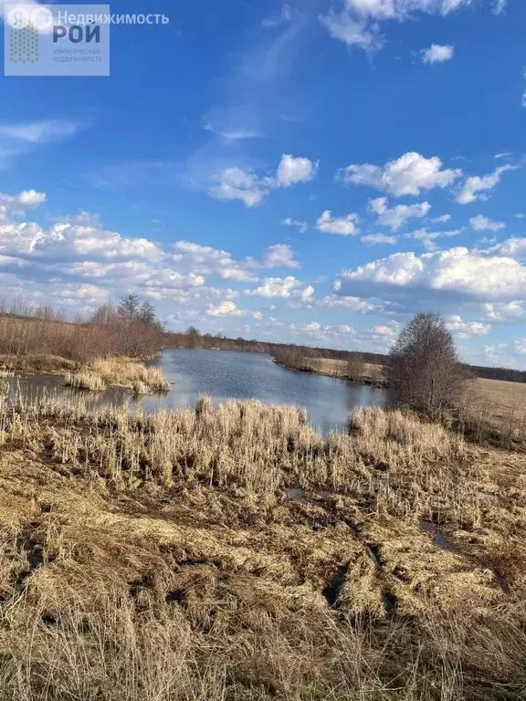 Участок в Кармаскалинский район, Савалеевский сельсовет, деревня ... - Фото 2