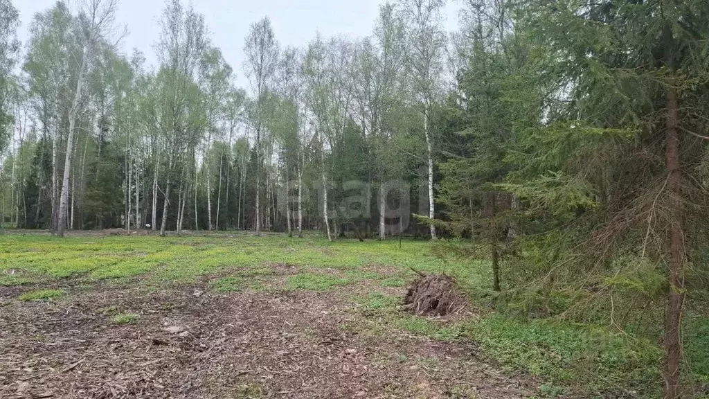 Участок в Владимирская область, Кольчугинский муниципальный округ, ... - Фото 2