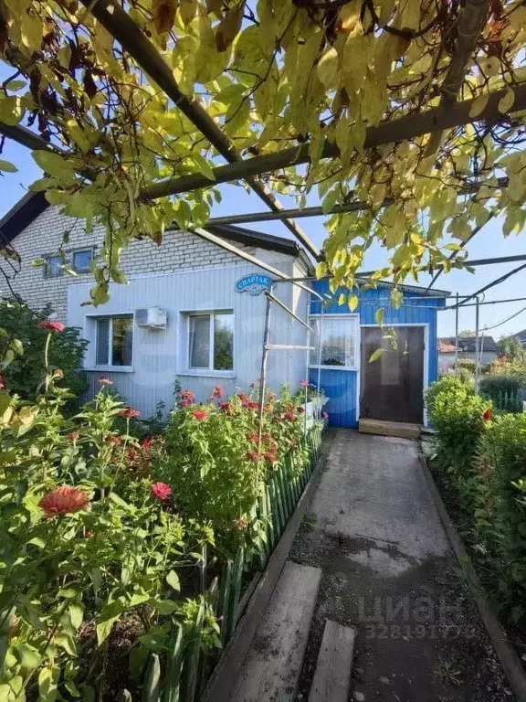 3-к кв. Амурская область, Прогресс пгт ул. Спартака, 39 (62.1 м) - Фото 1