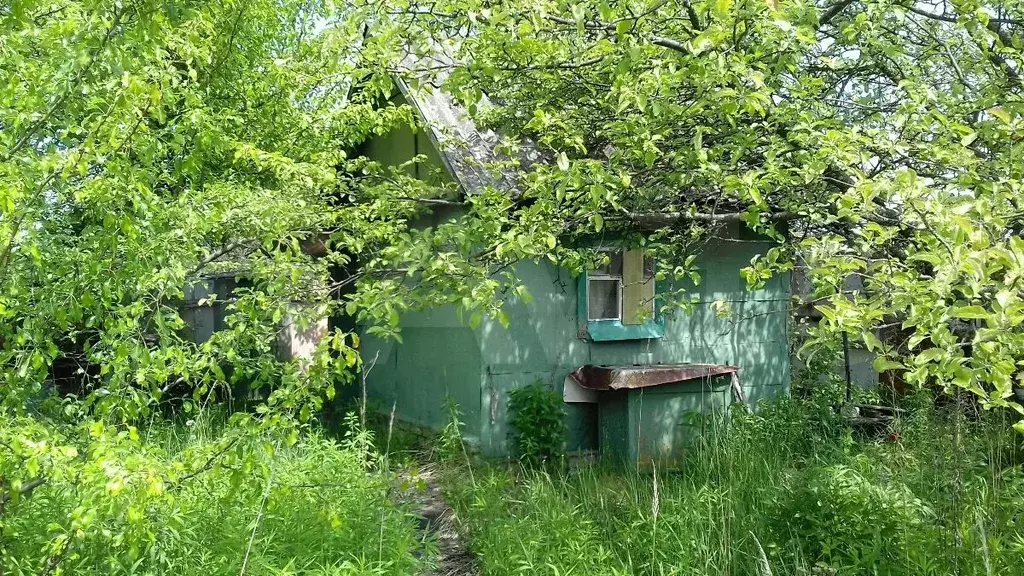 Купить Дачу В Брянском Районе Недорого