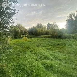 Участок в Калининград, СНТ Радуга (7 м) - Фото 0