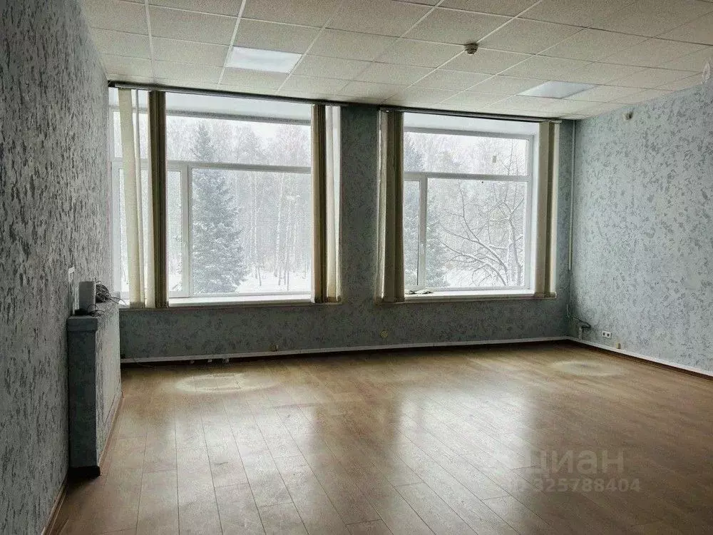 Офис в Санкт-Петербург просп. Тореза, 98К1 (240 м) - Фото 2