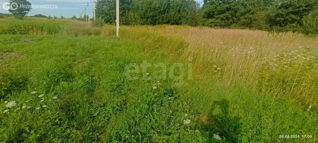 Участок в Калининградская область, Зеленоградский муниципальный округ, ... - Фото 1