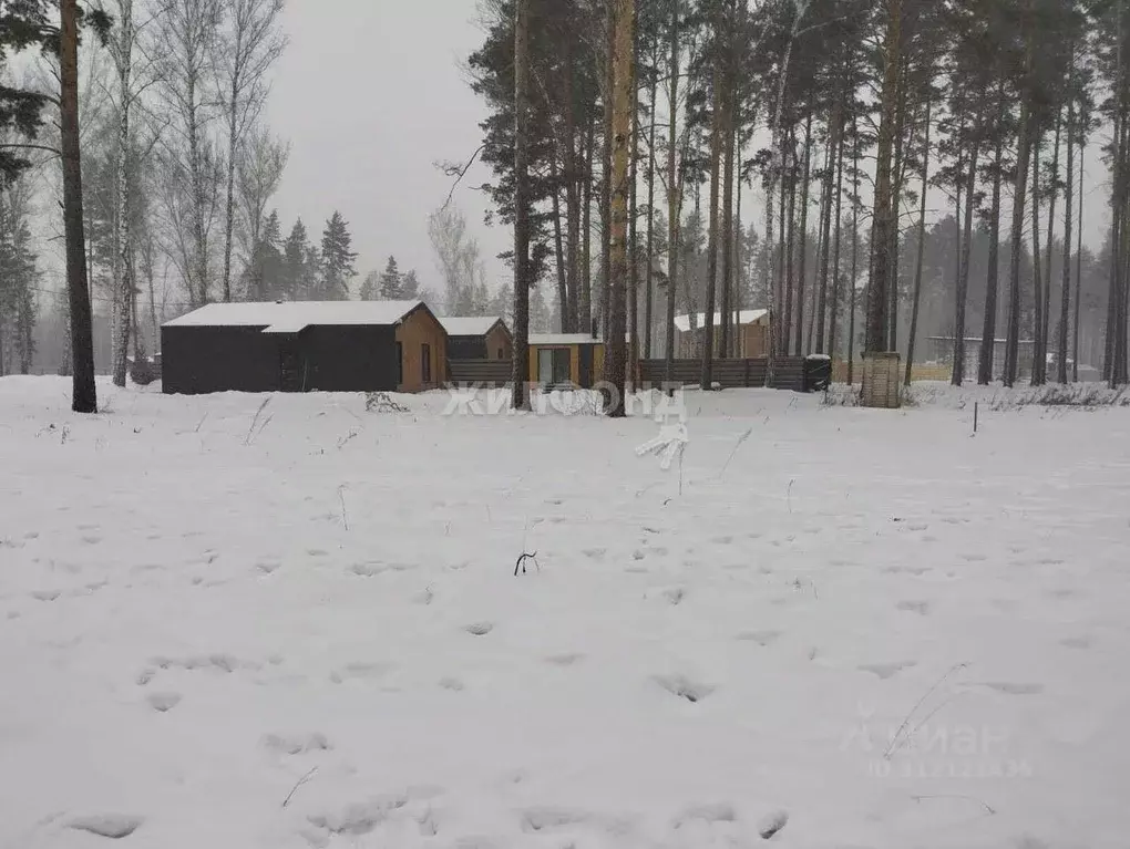 Участок в Новосибирская область, Новосибирский район, Кубовинский ... - Фото 1