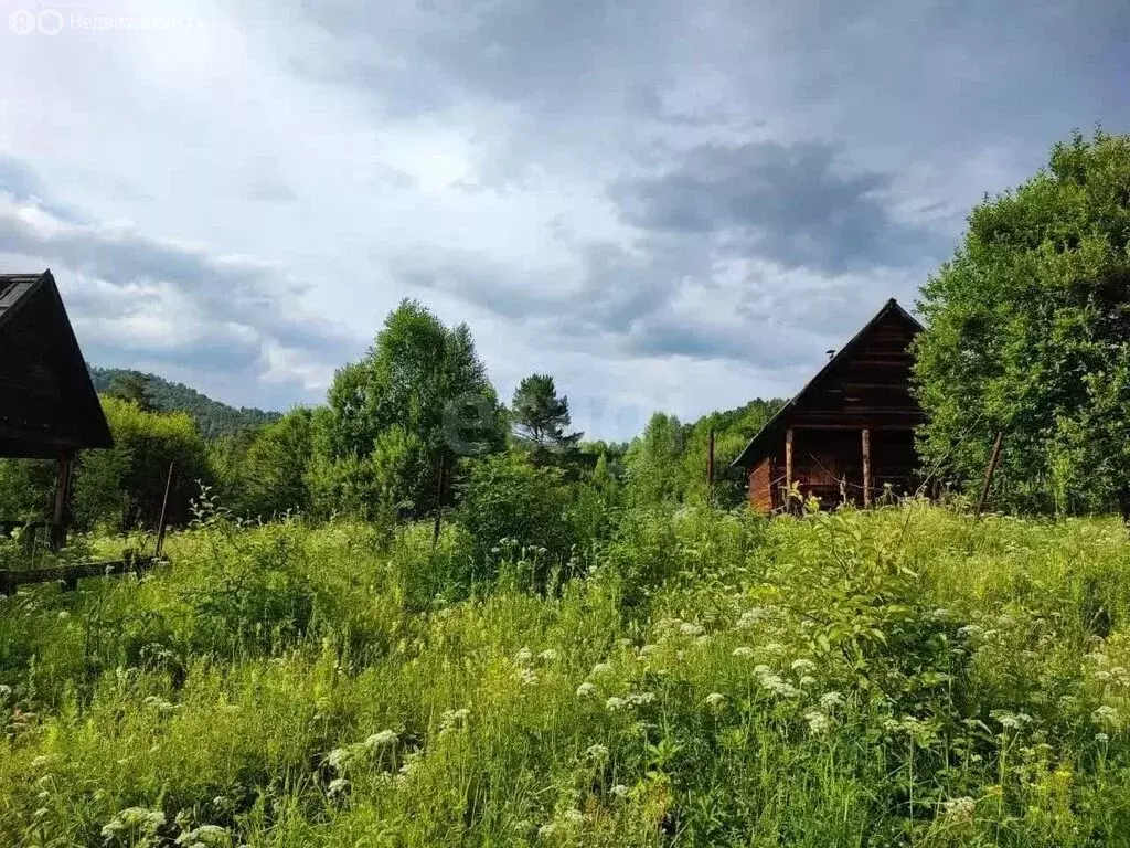 Участок в Майминский район, село Манжерок (20 м) - Фото 2