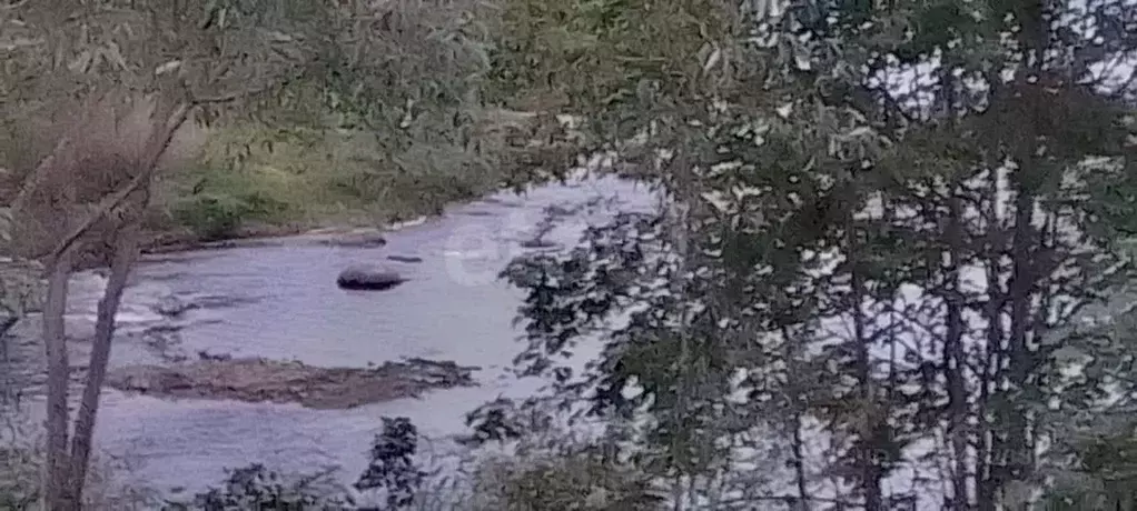 Участок в Псковская область, Порховский муниципальный округ, д. ... - Фото 1