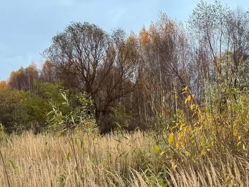 Участок в Московская область, Ногинск Богородский городской округ, ... - Фото 1