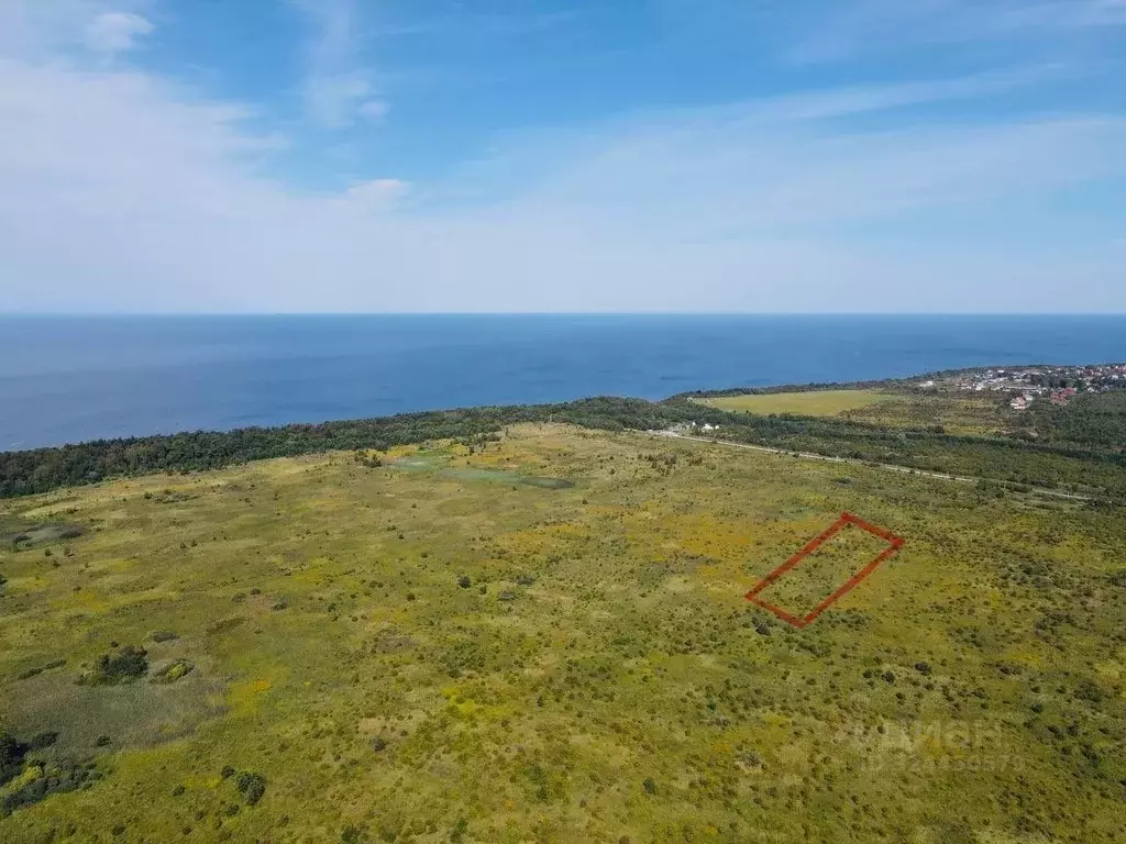 Участок в Калининградская область, Янтарный городской округ, пос. ... - Фото 1