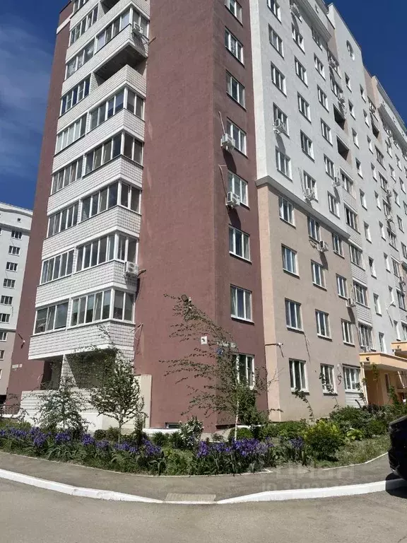 Студия Саратовская область, Саратов ул. Стрельбище, 22 (30.0 м) - Фото 1
