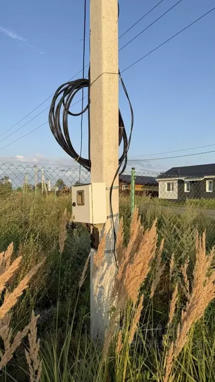 Участок в Ульяновская область, Чердаклинский район, Красноярское ... - Фото 2