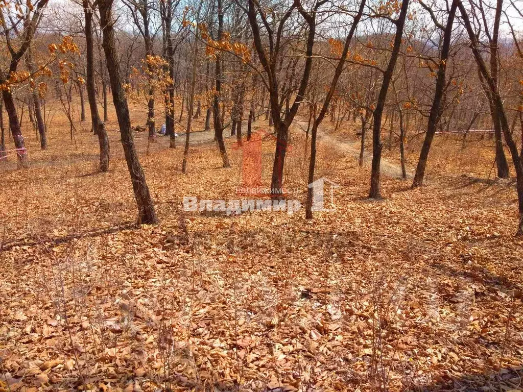 Участок в Находка, СНТ Коммунальник, Перевальная улица (1223 м) - Фото 2