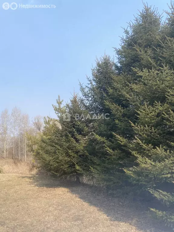 Участок в село Чигири, Чудесный переулок (18.77 м) - Фото 1