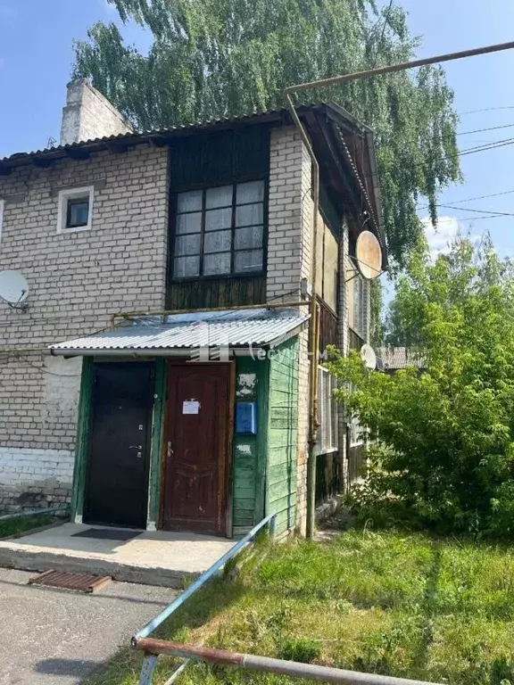 3-к кв. Нижегородская область, Выкса ул. Салтанова, 63 (40.6 м) - Фото 0