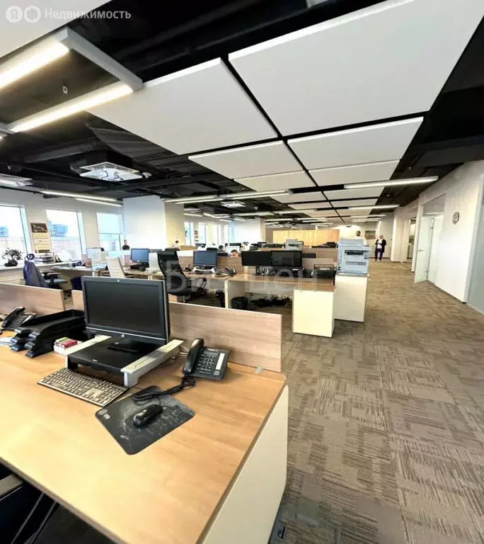 Офис (975.5 м) - Фото 2