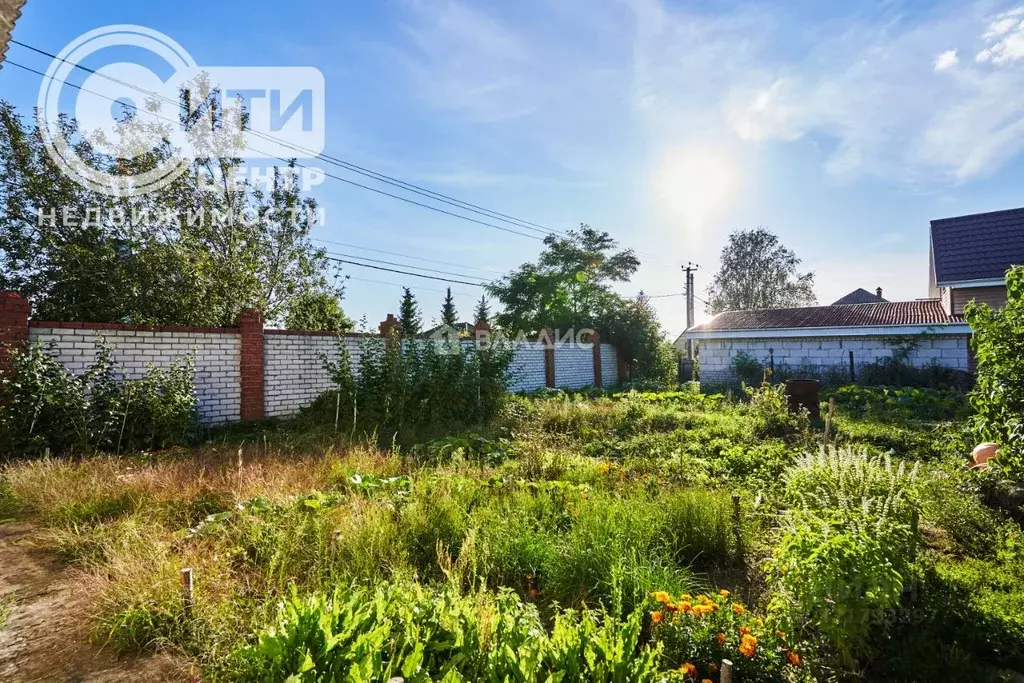 Участок в Воронежская область, Рамонский район, Новоживотинновское ... - Фото 1