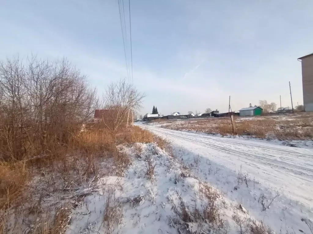 Участок в Новосибирская область, Тогучин ул. Фетисова (12.0 сот.) - Фото 0