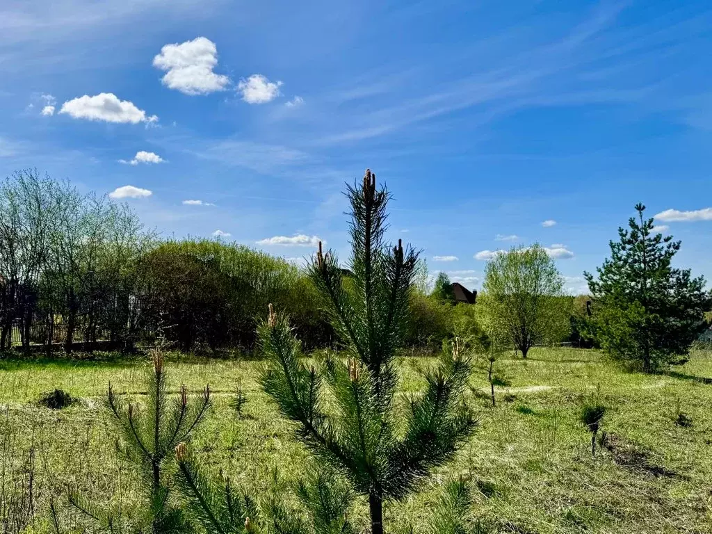 Участок в Московская область, Истра муниципальный округ, д. Красный ... - Фото 1