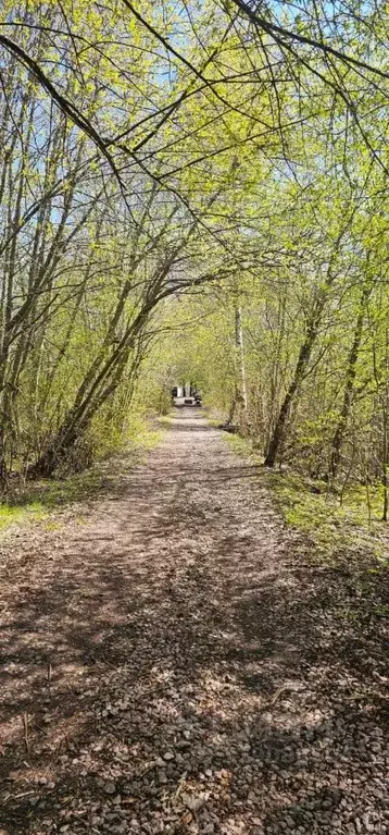 Участок в Санкт-Петербург пос. Солнечное,  (19.2 сот.) - Фото 1