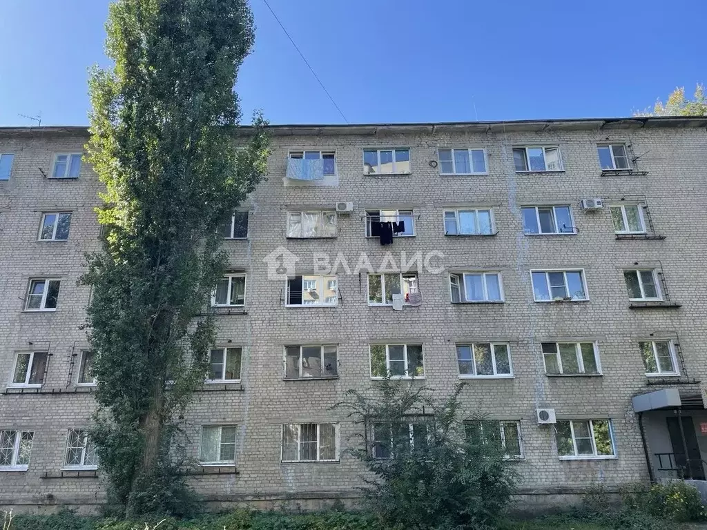 1-к кв. Воронежская область, Воронеж бул. Пионеров, 19 (25.2 м) - Фото 2